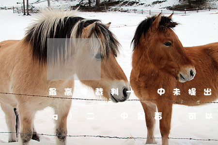 最高法裁判：一審中未提出鑒定申請(qǐng)，二審中是否還可以提出該項(xiàng)申請(qǐng)？